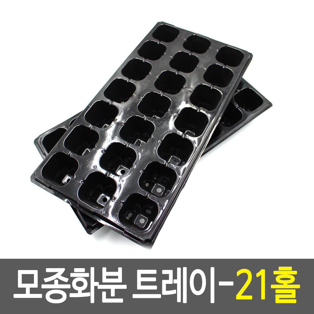 모종 화분 트레이 21홀 이색 포트 쟁반 - 상품 이미지