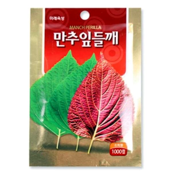 씨앗재배 텃밭 씨앗 만추잎들깨 모종 1000립 가꾸기 상추키우기 상추씨앗 꽃씨앗 새싹씨앗 - 상품 이미지