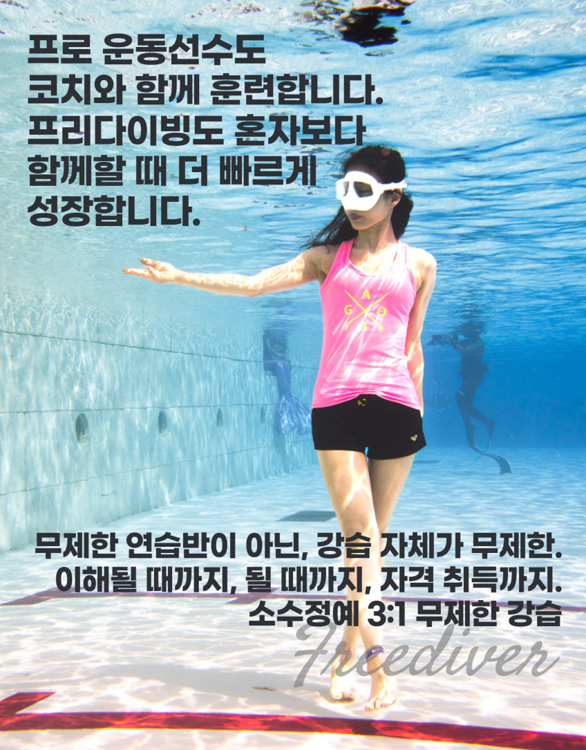 서울 경기 수도권 PADI PFI PSA 프리다이버 프리다이빙 자격증 판매처 상세 정보 이미지 3