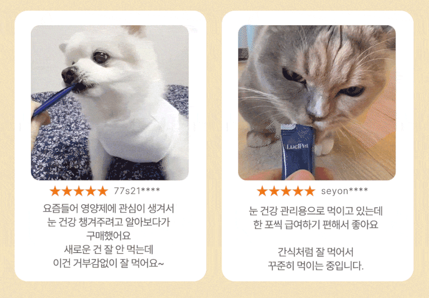 상세페이지