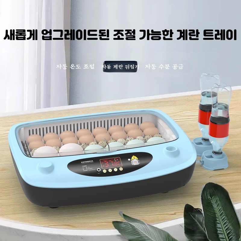 병아리 부화기 달걀 계란 조류 메추리 오리 닭 유정란 알 자동 부하기 앵무새 닭장 6란 - 상세 이미지 2