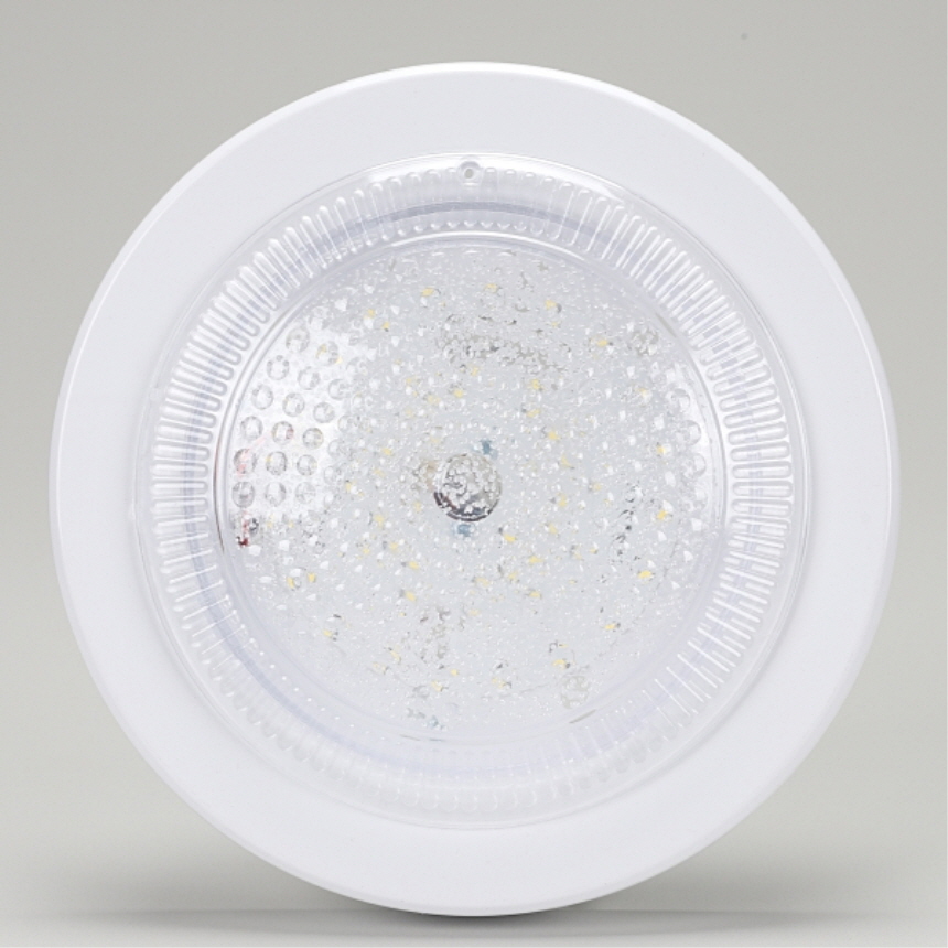 국산 LED 원형 직부등 상시+비상 20W 주광색 계단 복도 현관조명 엘이디그린티 - 상세 이미지 2