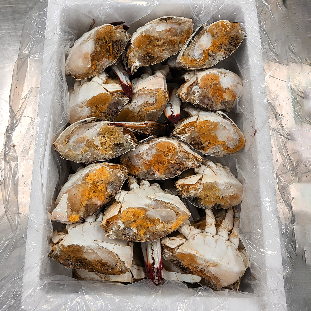 늘푸른 연평도 하프절단 암 꽃게 당일조업 급냉 알배기 HACCP 2kg외 - 상세 이미지 2