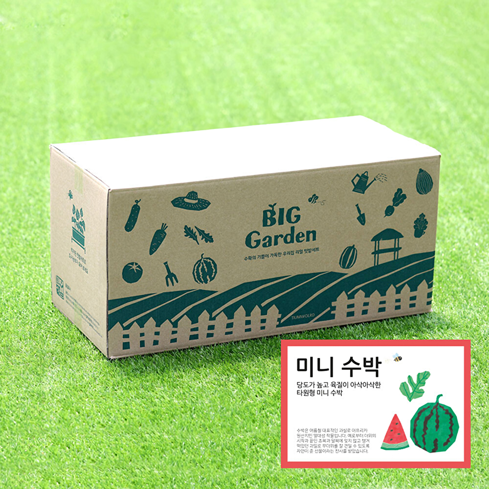 베란다 텃밭 도시농부 저면관수 화분 빅가든 미니수박 - 상품 이미지