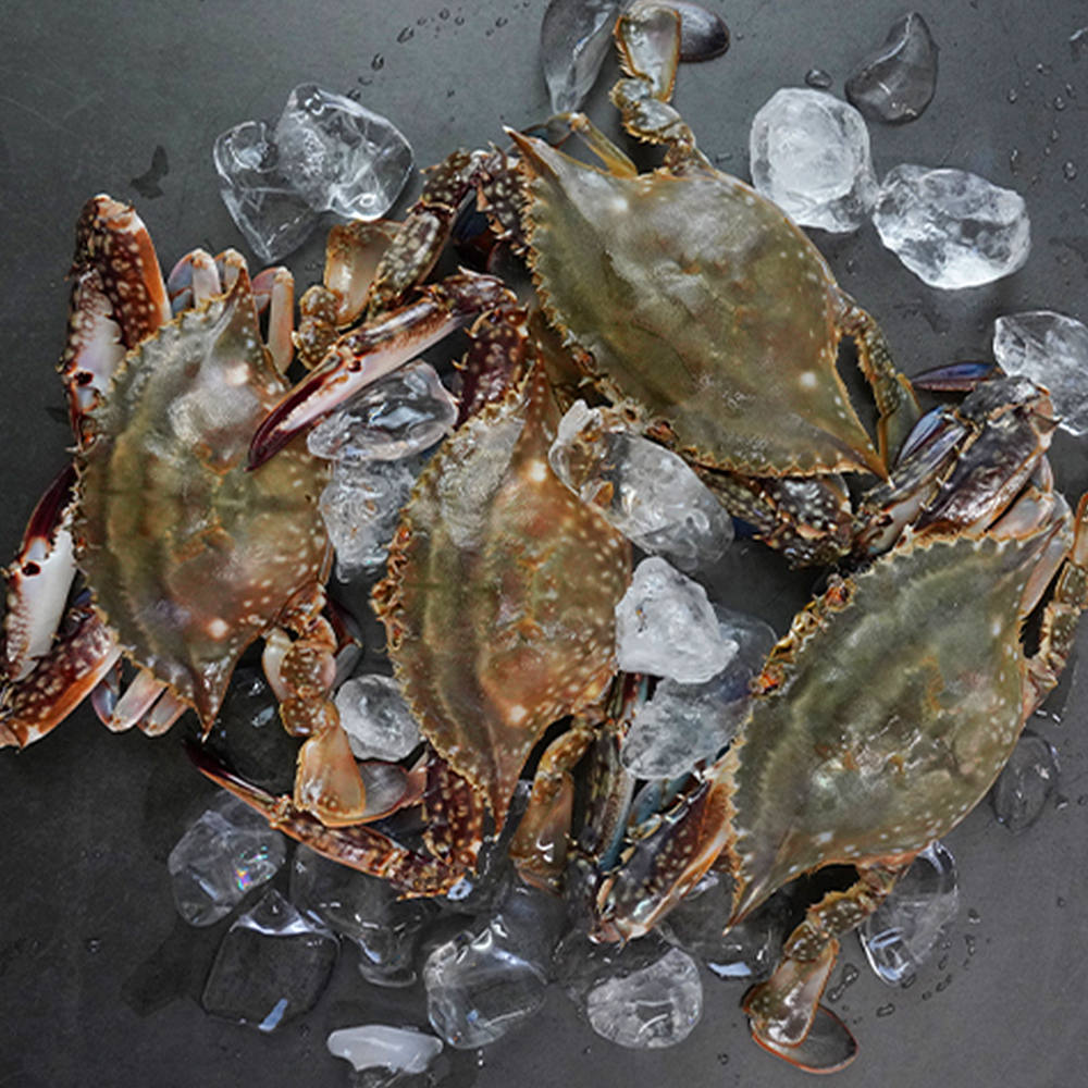 늘푸른 연평도 하프절단 암 꽃게 당일조업 급냉 알배기 HACCP 2kg외 - 상세 이미지 4