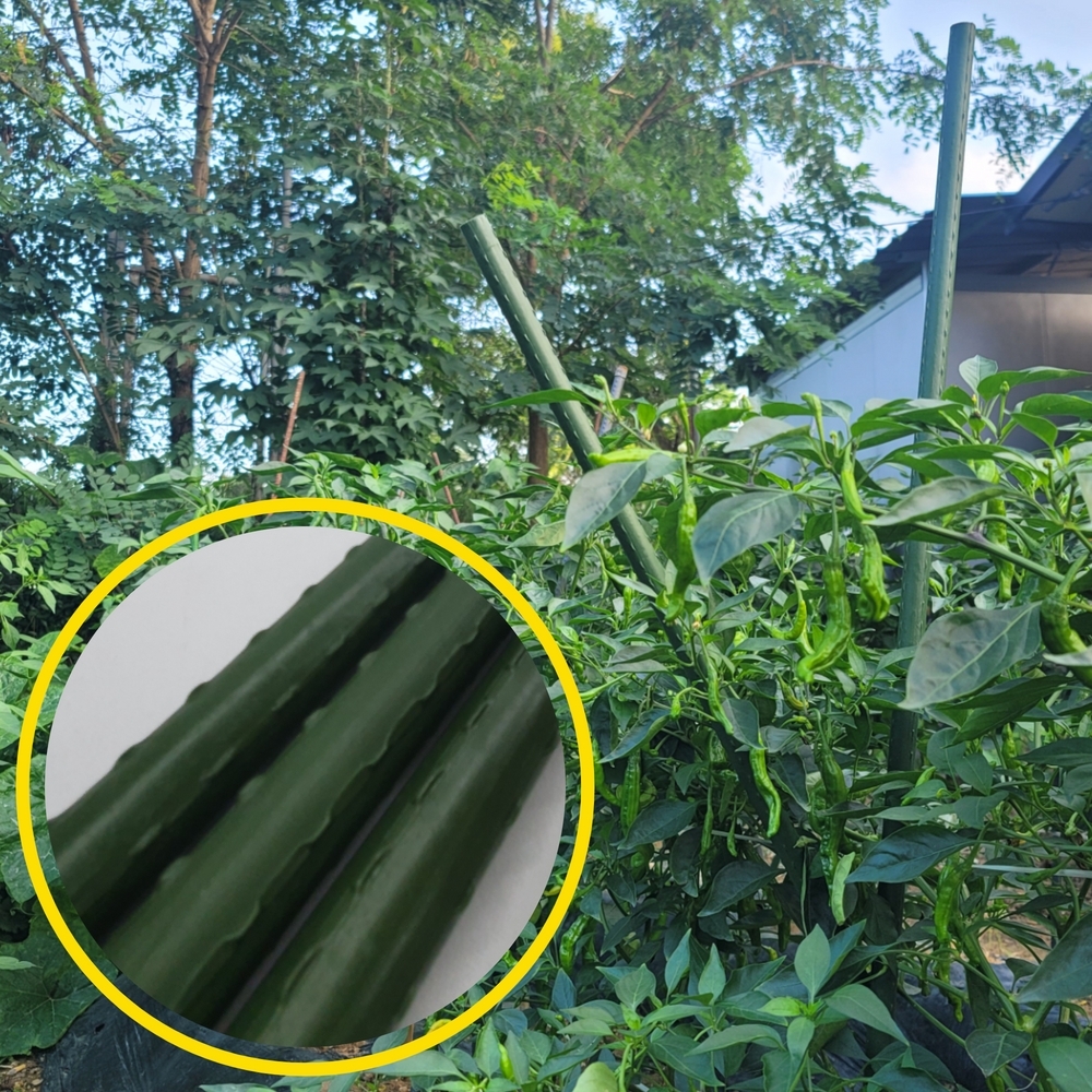 식물지지대 굵은 텃밭 화분 120cm 3P 화분지지대 - 상세 이미지 2