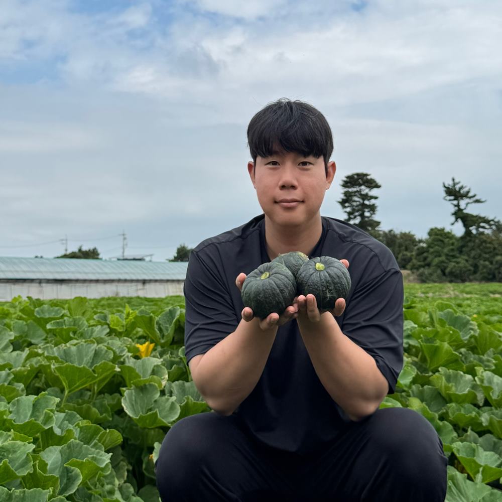 유통하맨x파머들 제주 미니밤호박 보우짱 국내산 단호박 5kg 10kg - 상품 이미지
