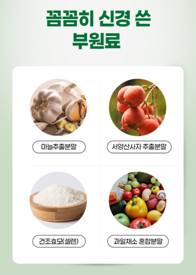 서클존 징코 플러스 혈액순환 영양제 은행잎추출물 기억력 은행엽건조엑스 60정, 2개 - 상세 이미지 2