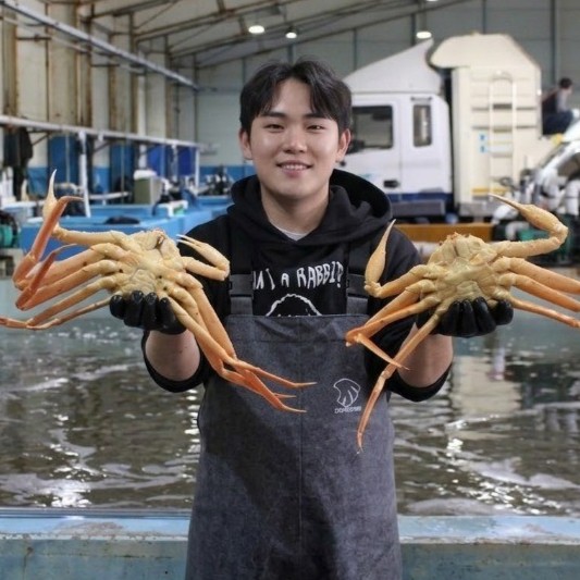 S급 살아있는 활 박달 대게 러시아 직수입 보세창고 직발송 (자숙도 가능) - 상품 이미지
