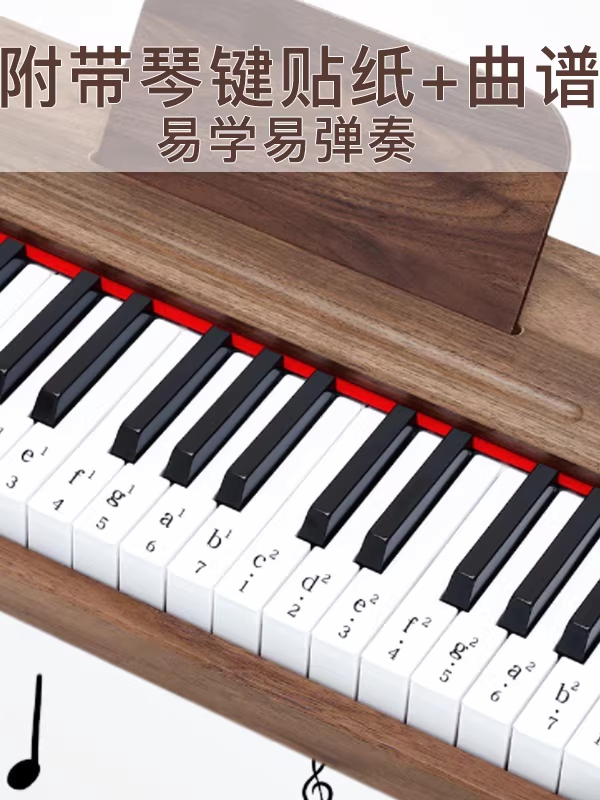 텐서 휴대용 피아노 폴더블 실리콘 접이식 디지털 키보드 입문용 - 상세 이미지 3