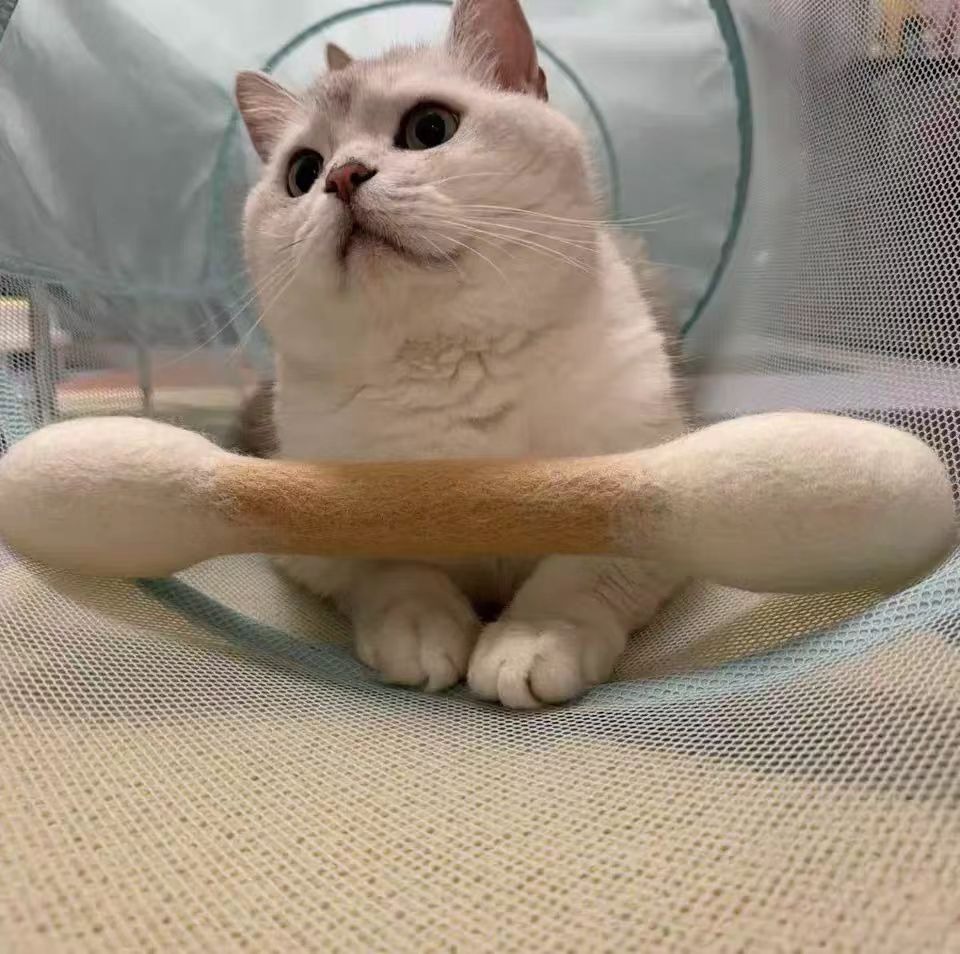 고양이 양모 면봉 장난감 15cm 캣닢 마따따비 고양이 강아지 애완견 반려묘 반려동물 용품 - 상세 이미지 4