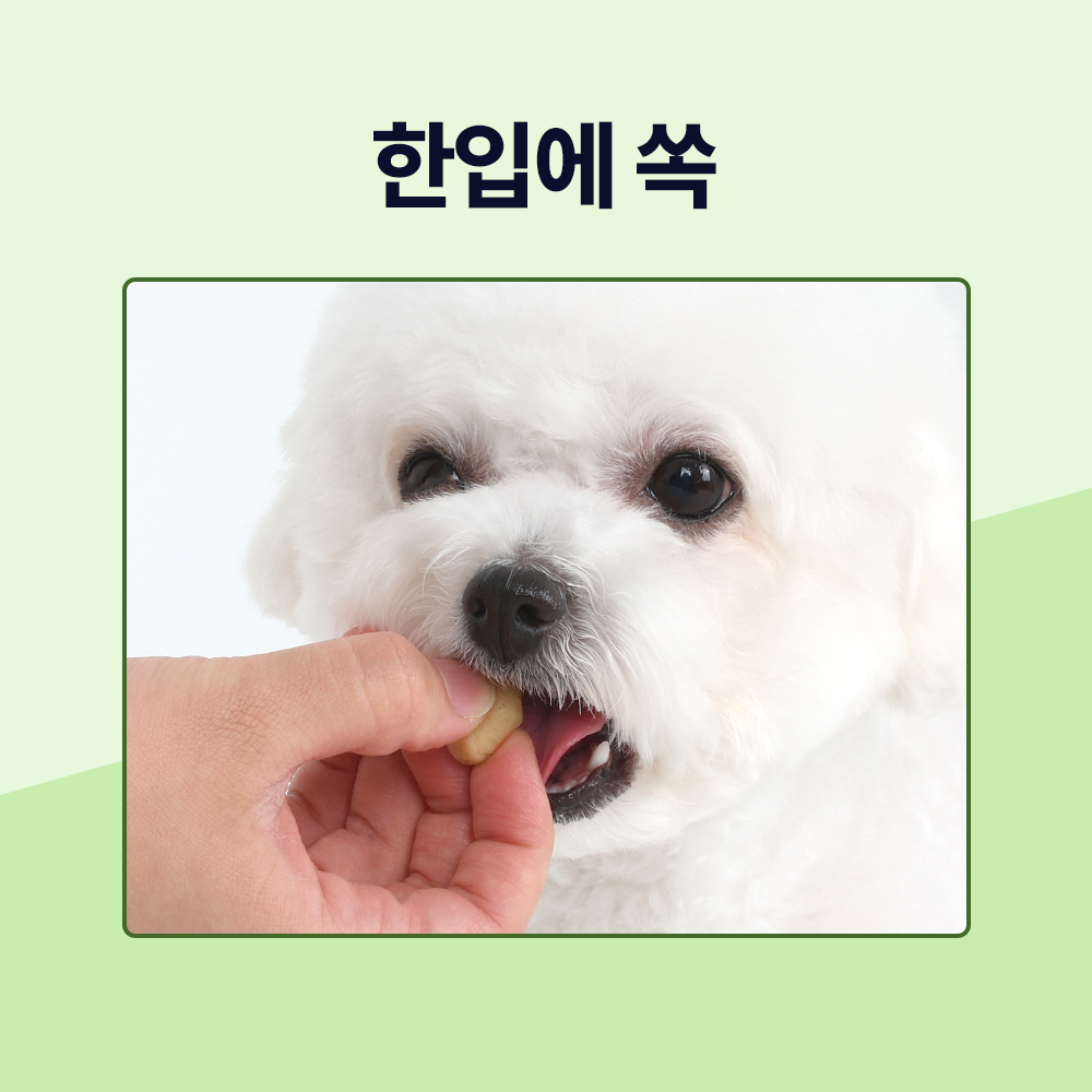 닥터바이 필트릿 강아지 알약 약먹이는방법 위보호 투약보조제 필포켓 캡슐 먹이기 상품 이미지