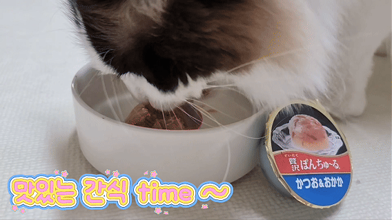 [빠른출고] 이나바 퐁츄르 제이타크 고양이간식 참치 치어, 70g, 6개 - 상세 이미지 2