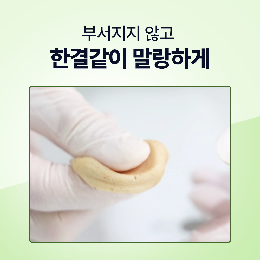 닥터바이 필트릿 강아지 알약 약먹이는방법 위보호 투약보조제 필포켓 캡슐 먹이기 상품 이미지