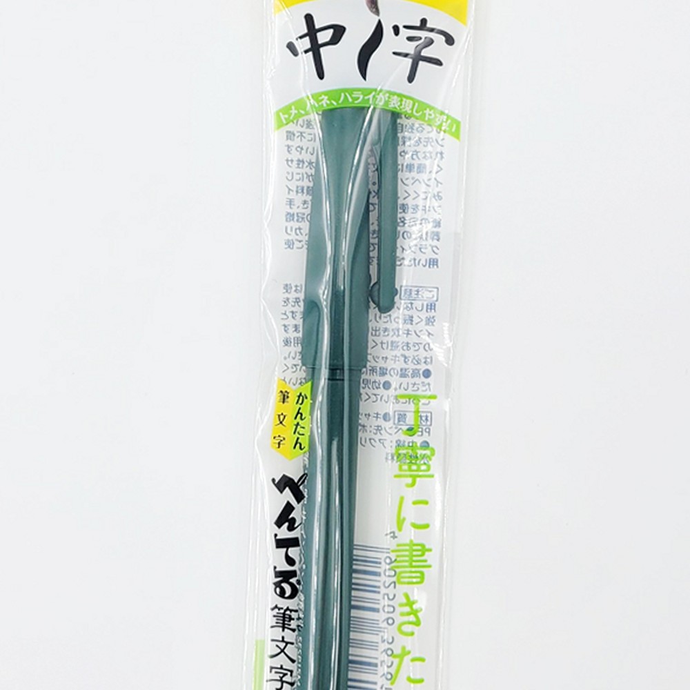 라이즈올5 중필 붓펜 검은색붓펜 손글씨펜 드로잉펜 - 상품 이미지