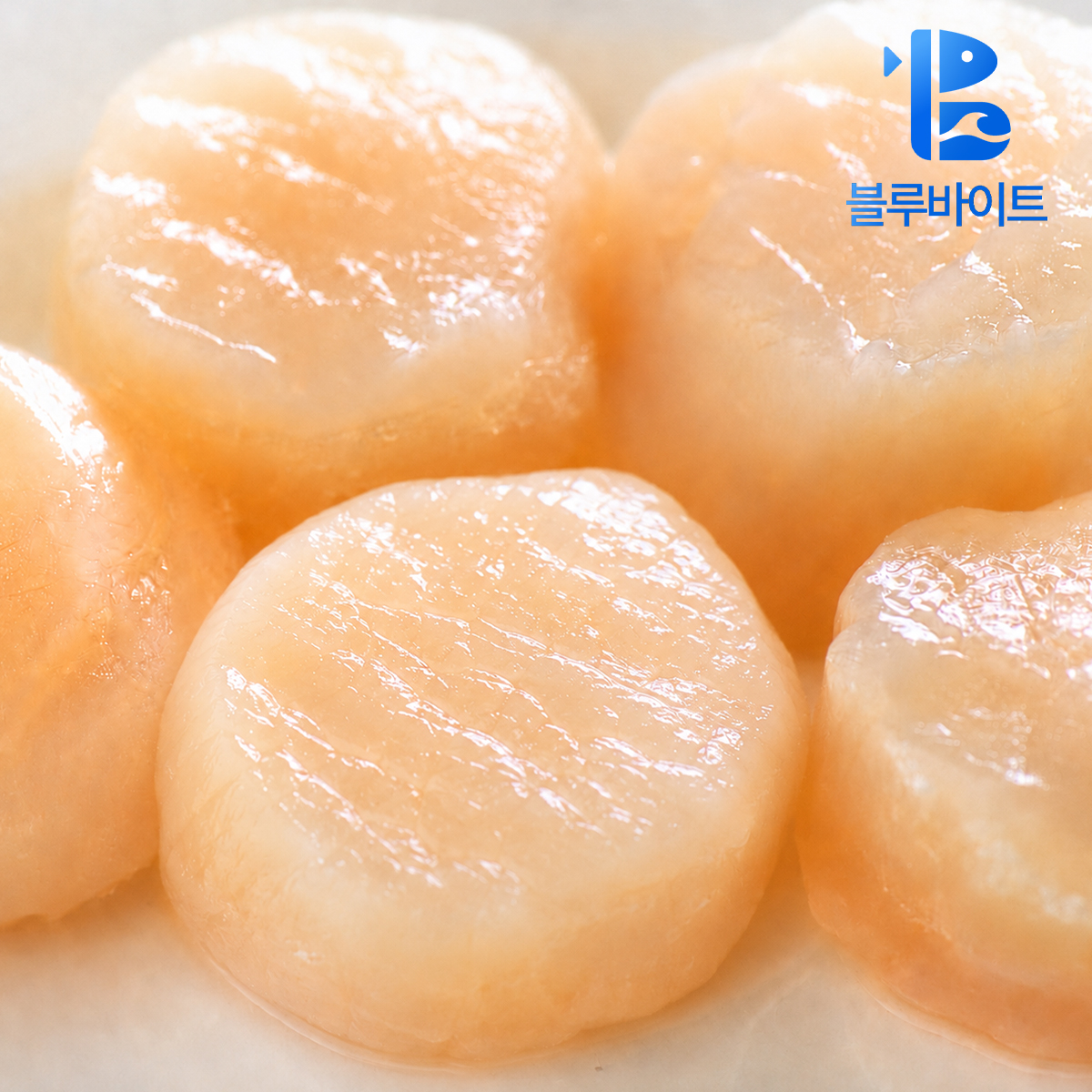 가리비관자 1kg 최상급 냉동 버터구이 가리비살 개아지살 - 상품 이미지