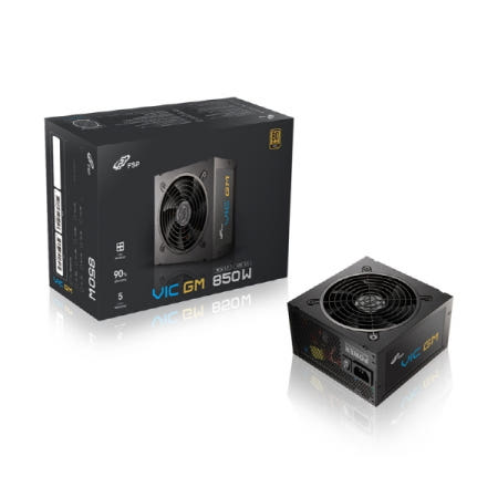 FSP VIC GM 850W 80PLUS골드 풀모듈러 ATX 3.1