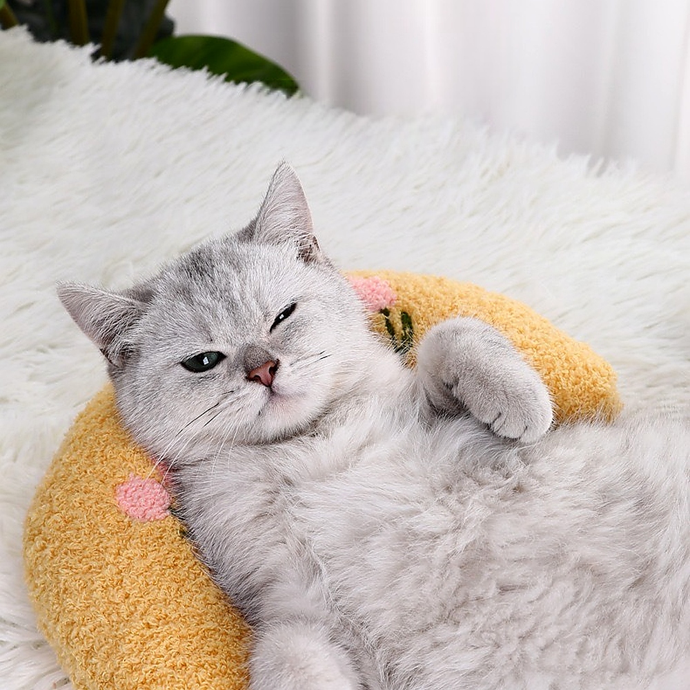고양이 강아지 수면베개 반려동물 강아지 고양이 반려묘 애견 용품 쿠션 베개 방석 쇼파 침대 - 상세 이미지 4