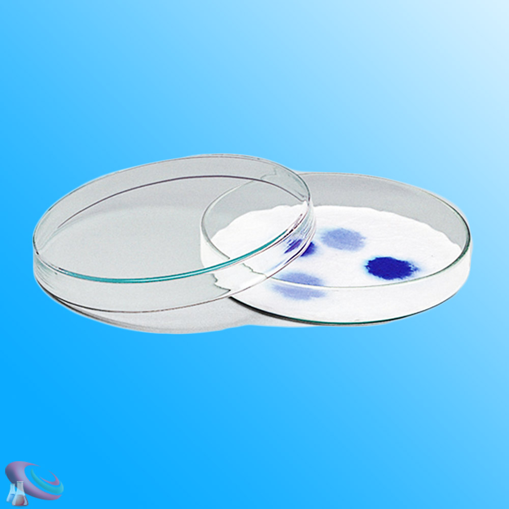 유리샬레 투명샤레 페트리디쉬 배양접시 150mm - 상품 이미지