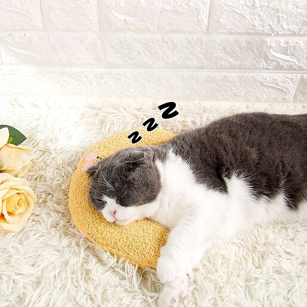 고양이 강아지 수면베개 반려동물 강아지 고양이 반려묘 애견 용품 쿠션 베개 방석 쇼파 침대 - 상세 이미지 5