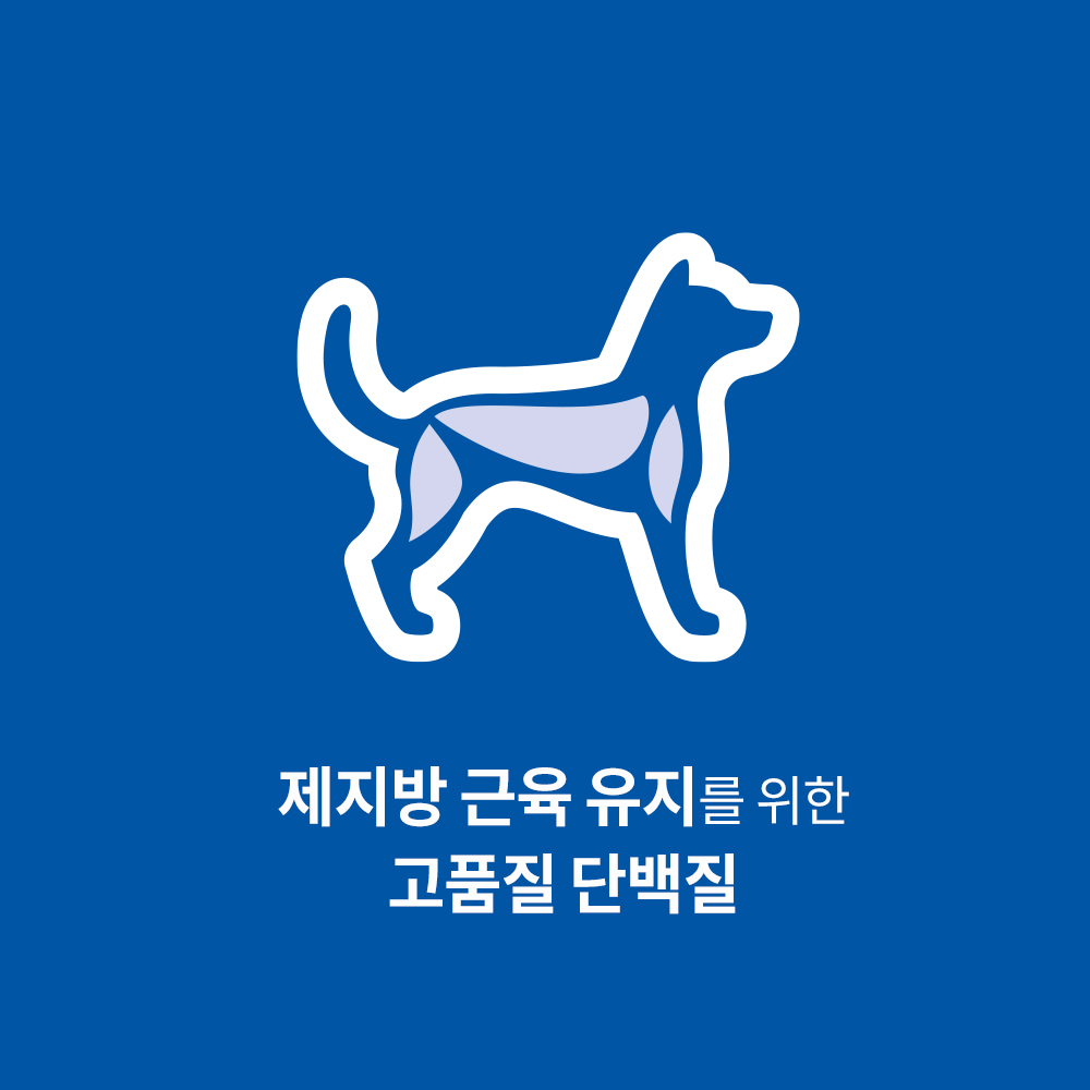 힐스 강아지사료 어덜트 7+ 헬시 퀴진 치킨 습식 주식캔 354g x 12개 - 상세 이미지 2