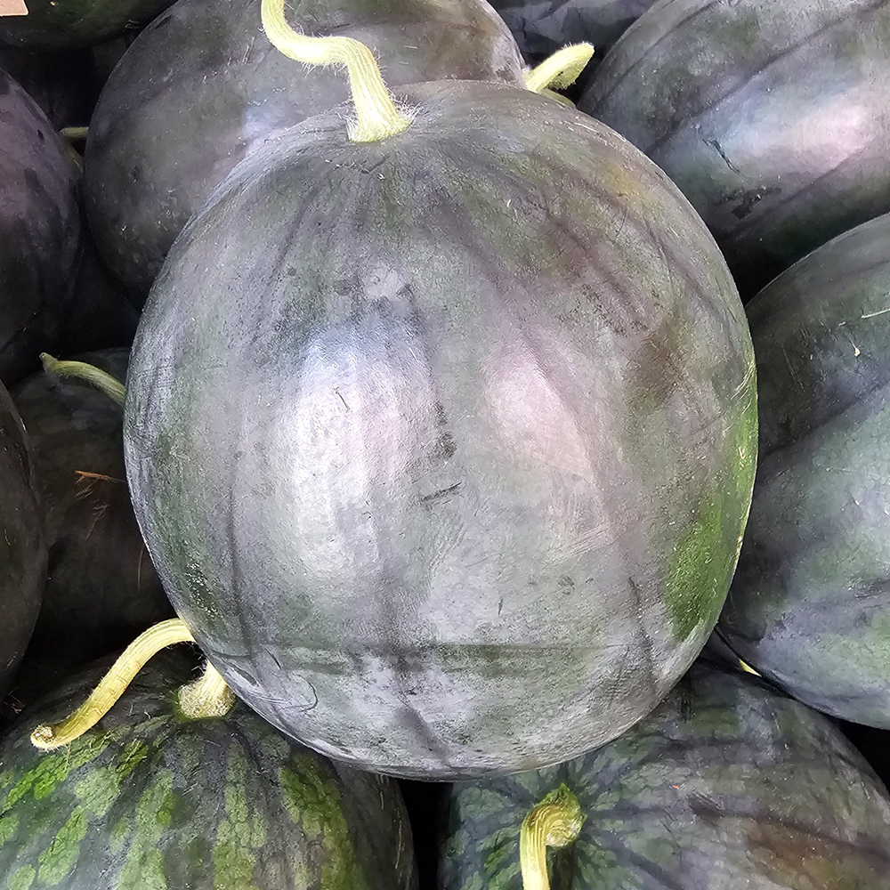고당도 흑수박 하우스 함안수박 12Brix, 6kg, 1개 - 상세 이미지 4