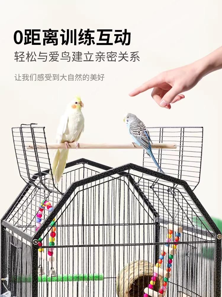 대형 새장 앵무새 하우스 이동식 조류 놀이터 케이지 기본 - 상세 이미지 5