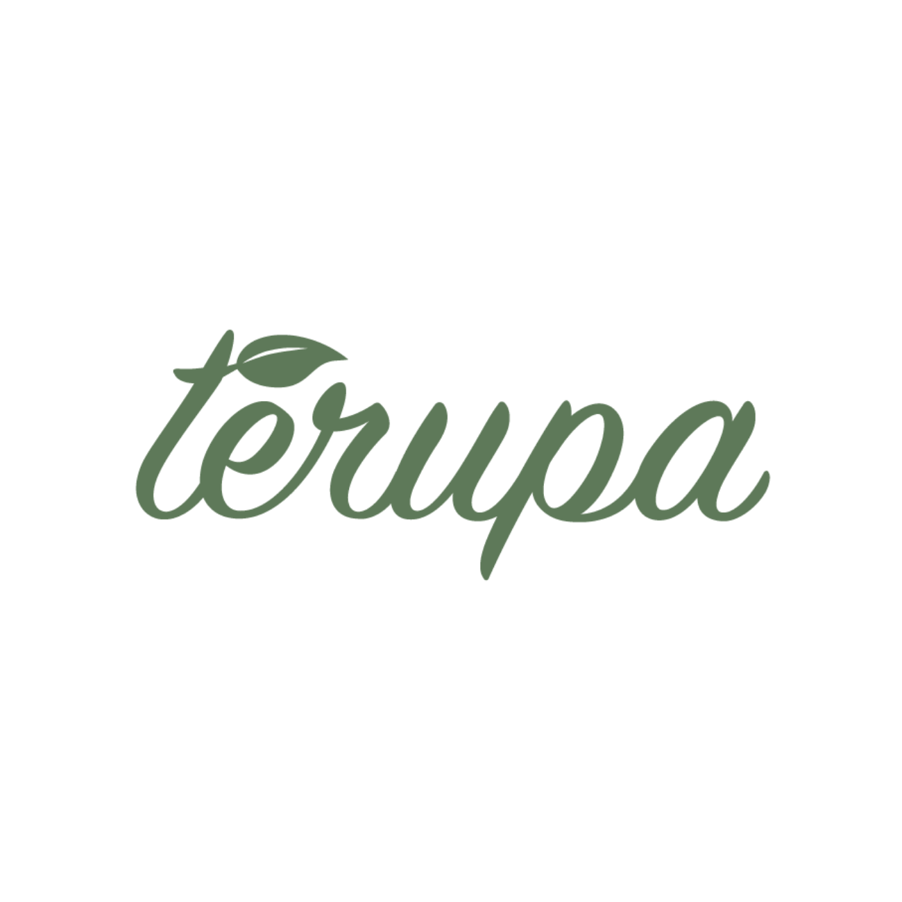 테루파 Terupa 스토어 로고