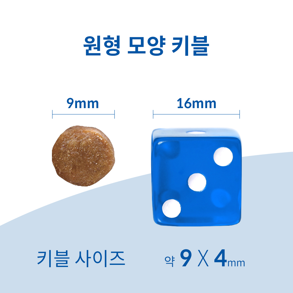 힐스 고양이사료 어덜트 퍼펙트 다이제스천 치킨 1.6kg X 2개