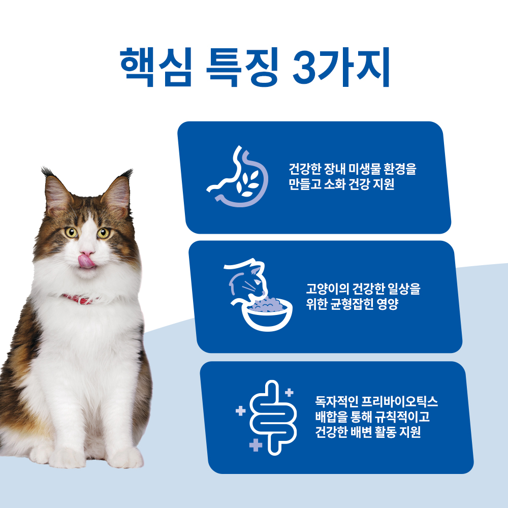 힐스 고양이사료 어덜트 퍼펙트 다이제스천 치킨 1.6kg — 민감한 소화 기능을 위한 특별한 설계, 어떤 점이 좋을까요?