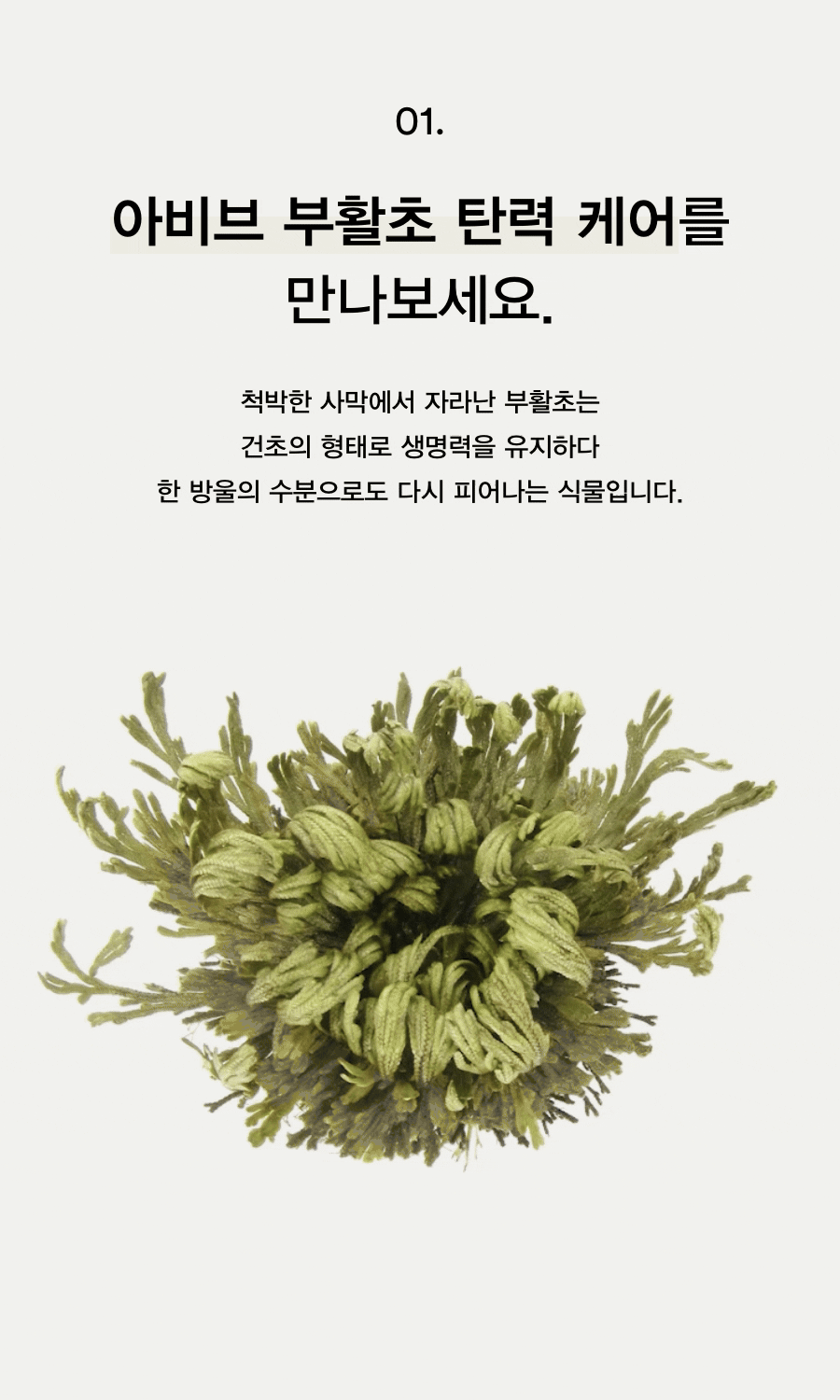 abib collagen eye cream korean