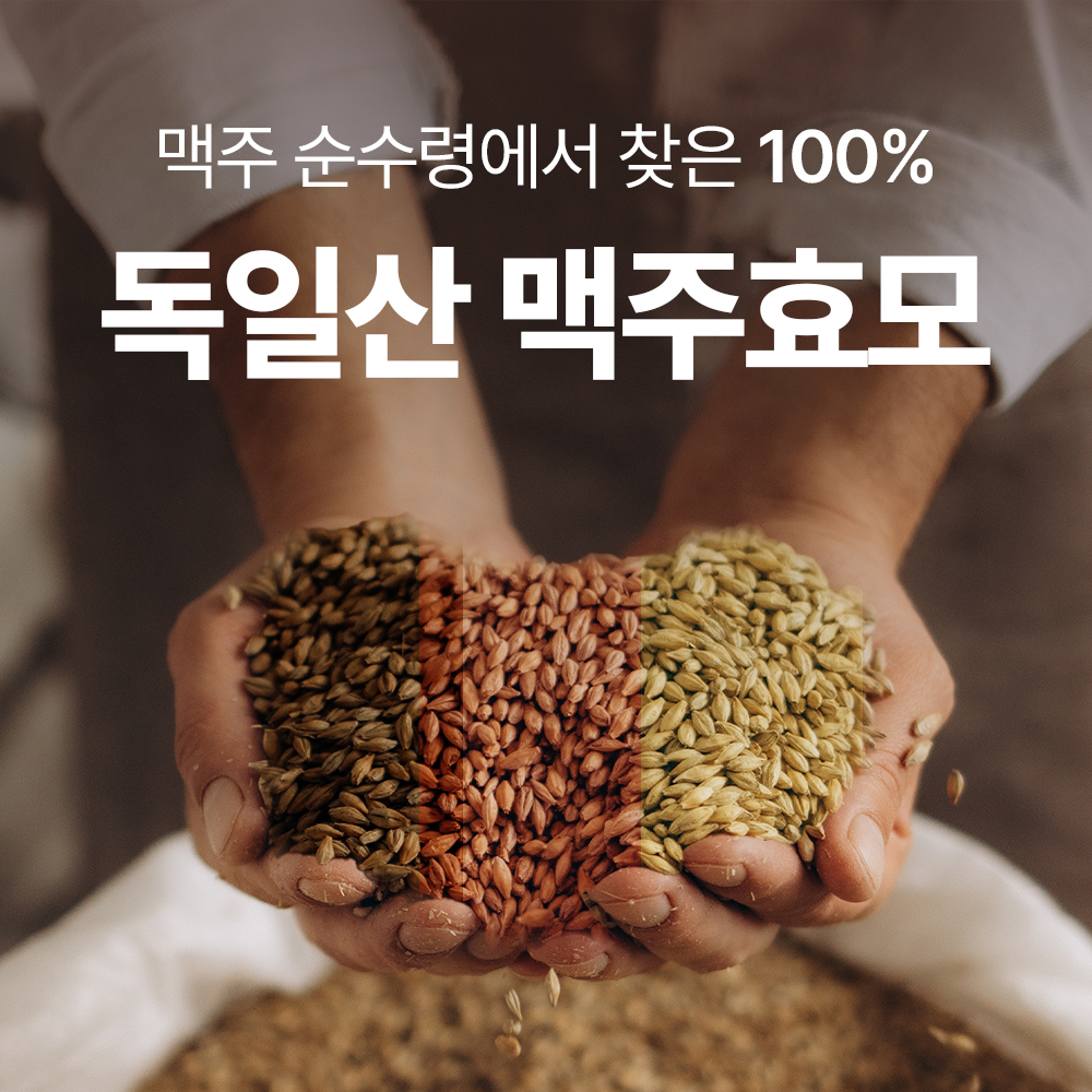 랩온랩 초고함량 독일 맥주효모 비오틴 10000 60정, 1개 - 상세 이미지 2