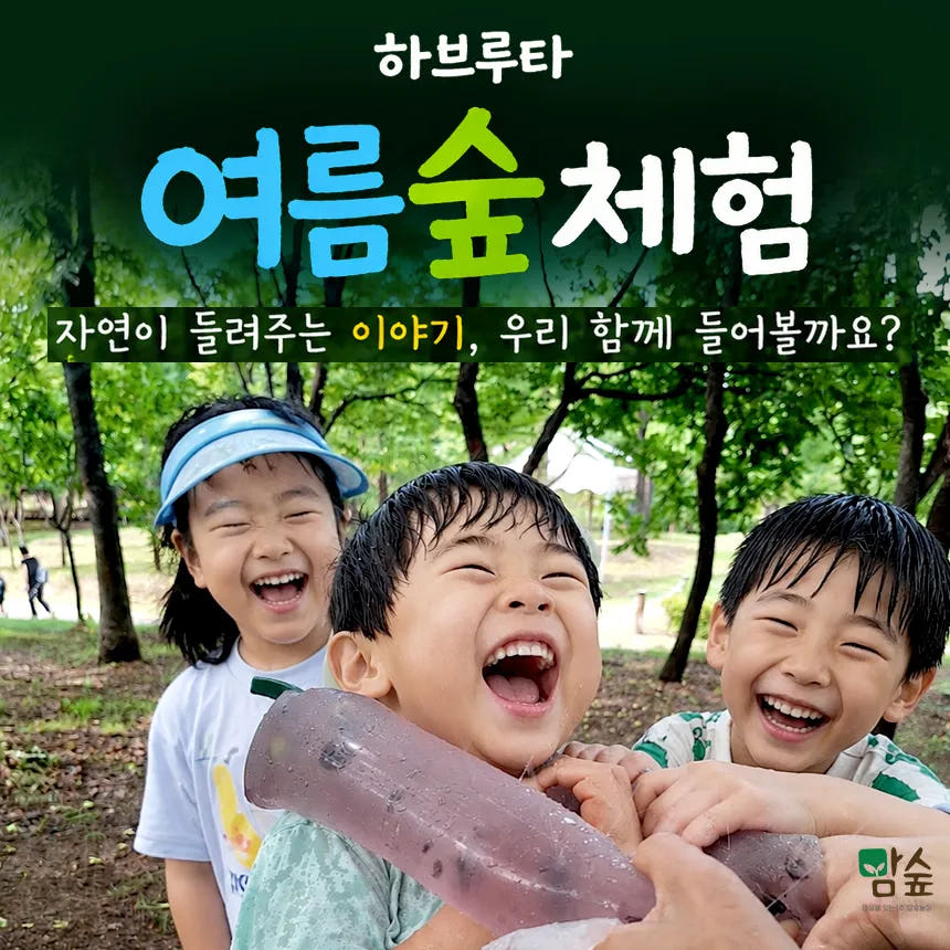 맘숲놀이와 함께하는 하브루타 여름 숲체험 가격 추이 아이고고 맘숲놀이와 함께하는 하브루타 여름 숲체험 - 최저가 45,000원