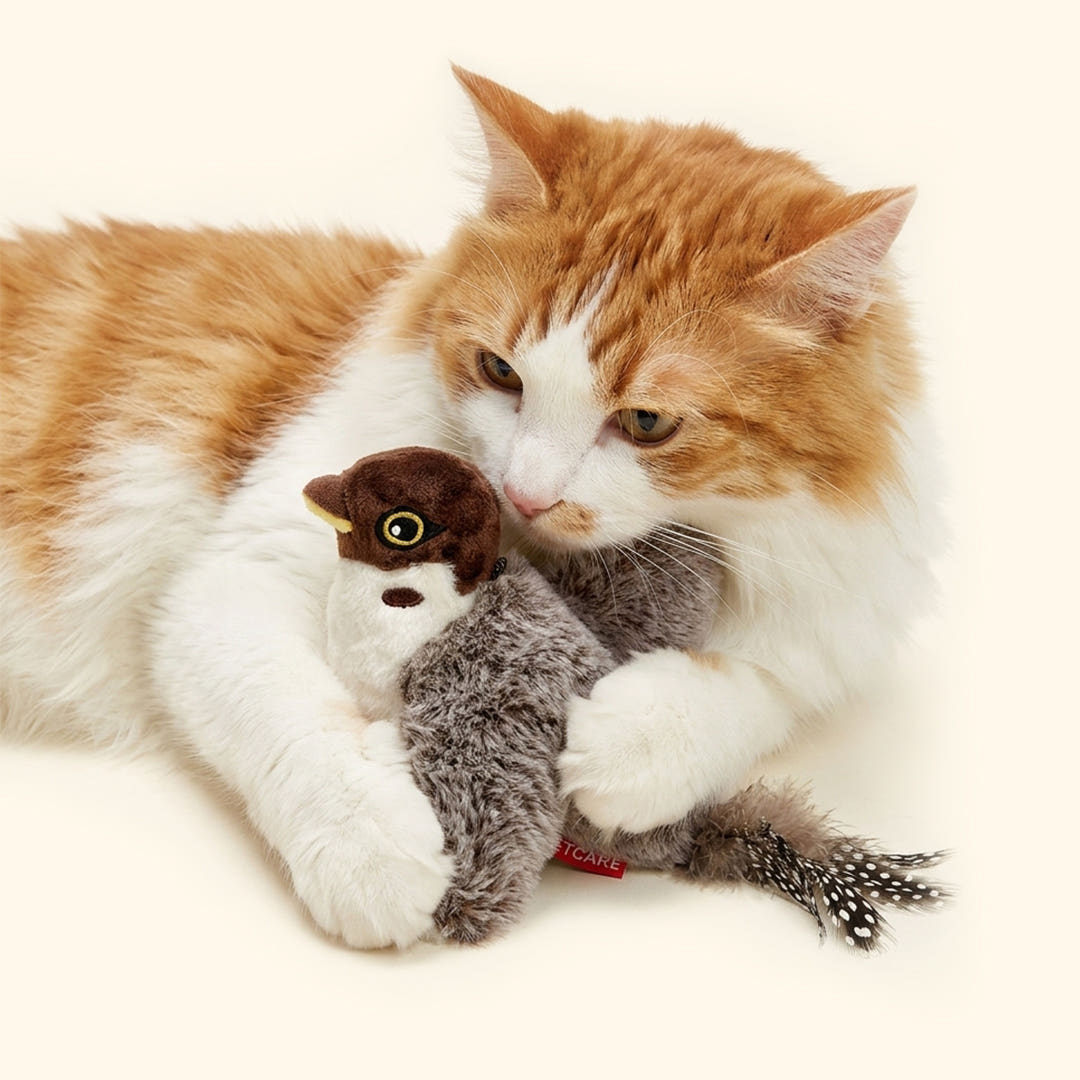 펫케어 고양이 자동 새 장난감 움직이는 춤추는새 참새 가격 비교 펫긱 PETGEEK 펫케어 고양이 자동 새 장난감 움직이는 춤추는새 참새