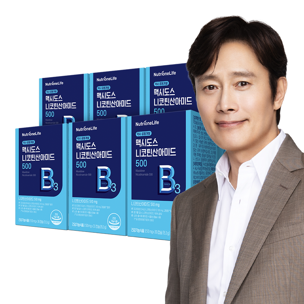 뉴트리원 맥시 도스 니코틴산아미드 500 고함량 비타민B 메가 맥스 30캡슐, 6개 - 상품 이미지