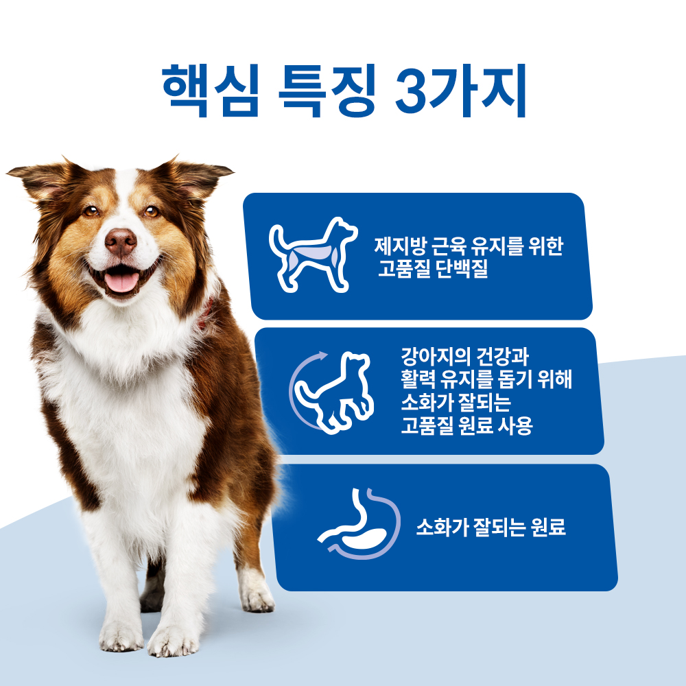 힐스 강아지사료 어덜트 7+ 헬시 퀴진 치킨 습식 주식캔 354g x 12개 - 상세 이미지 3