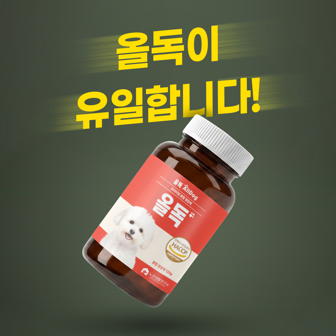 올독 강아지 종합영양제 눈 피부 관절 면역력 장 종합영양, 120g, 1개 이미지 8
