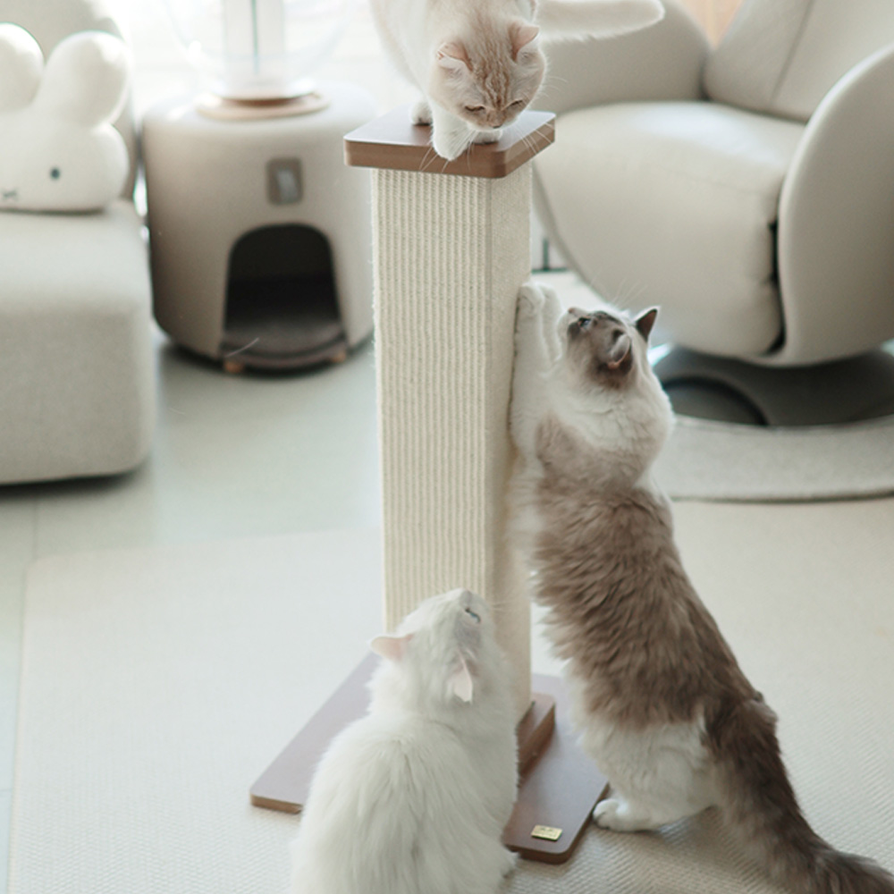 네이버 아토주 파우제 대형 80cm 수직 기둥 고양이 스크래쳐