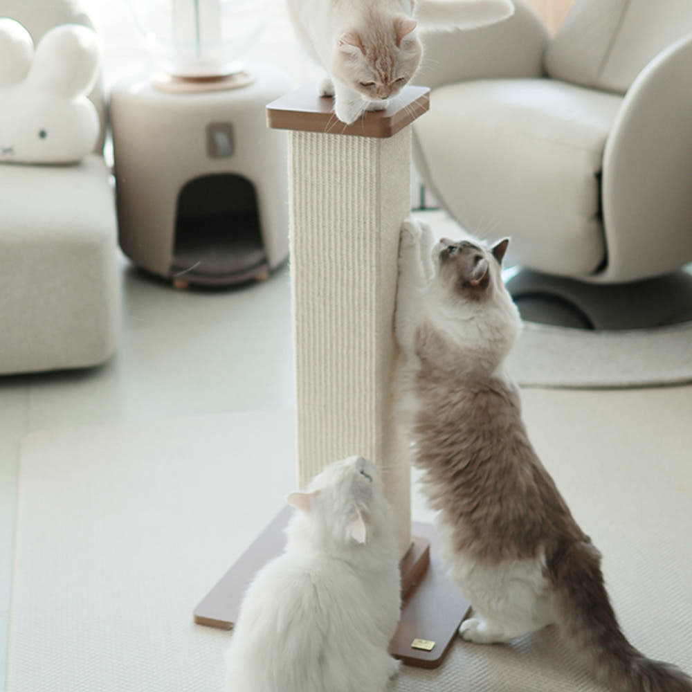 아토주 파우제 대형 80cm 수직 기둥 고양이 스크래쳐 가격 비교 아토주 아토주 파우제 대형 80cm 수직 기둥 고양이 스크래쳐