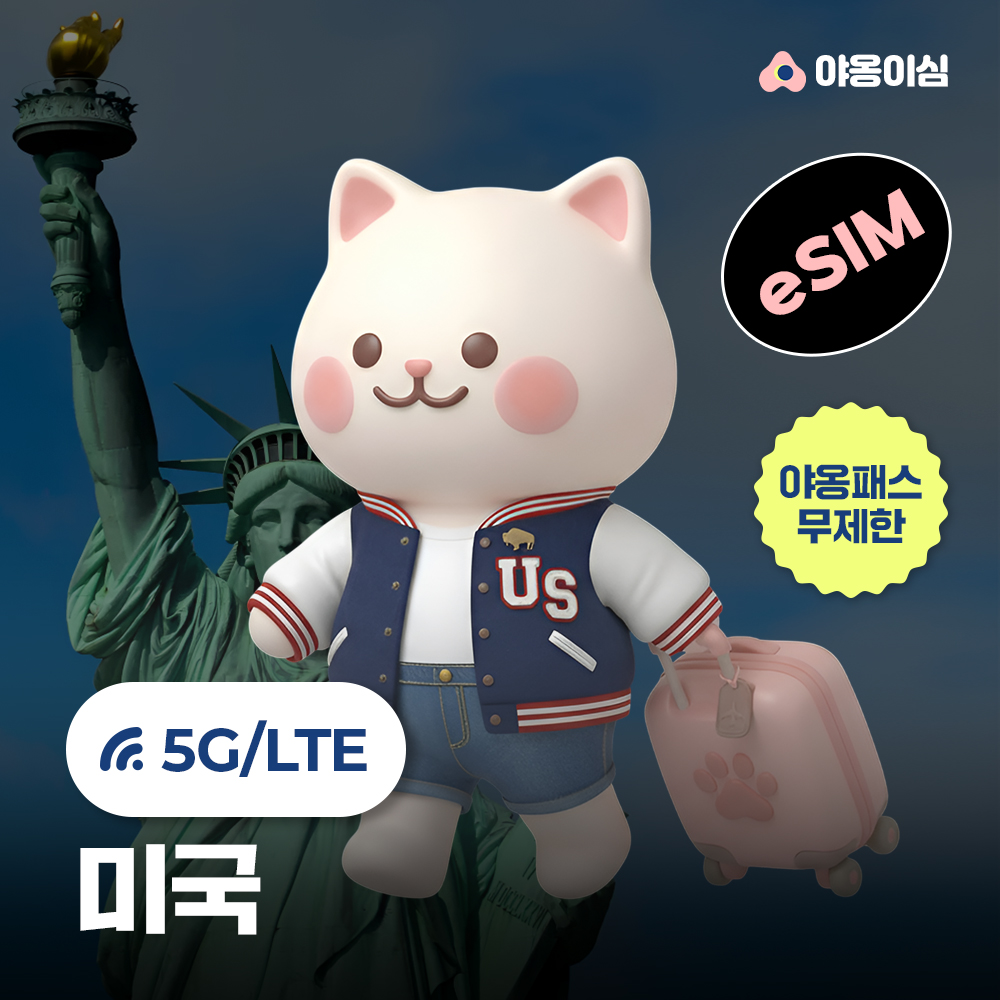 미국이심 eSIM 1일 500MB 데이터 무제한 뉴욕 LA 하와이 - 상품 이미지