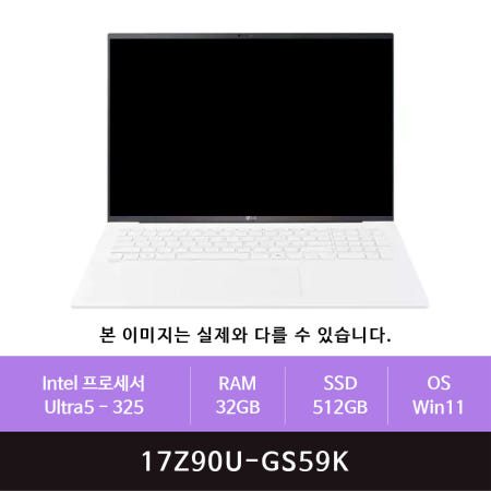 LG 그램 프로17 17Z90U-GS59K 512GB교체(zoaa)