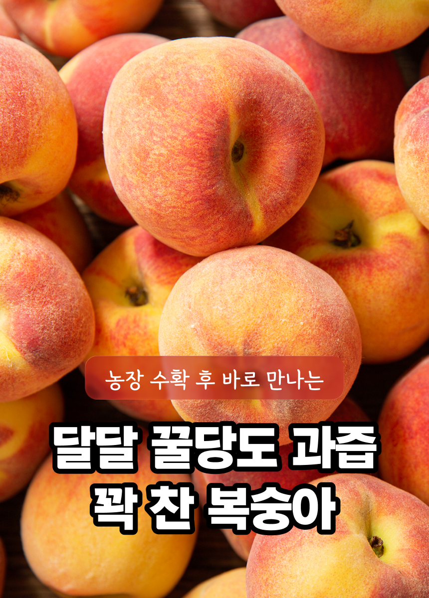 상세 1