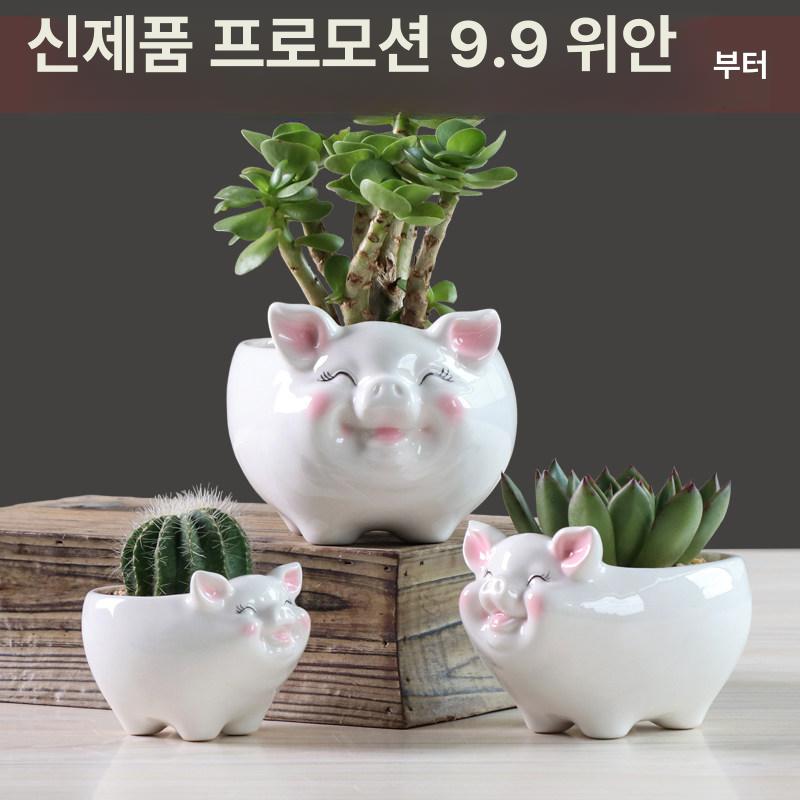돼지 화분 세라믹 다육이 미니 플랜터 구멍 있음 흰색 돼지 특소 - 상세 이미지 3