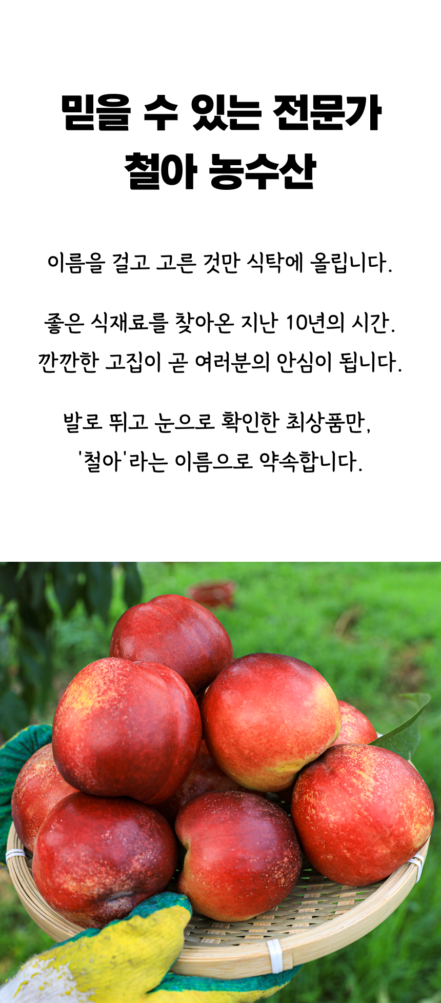 상세 6