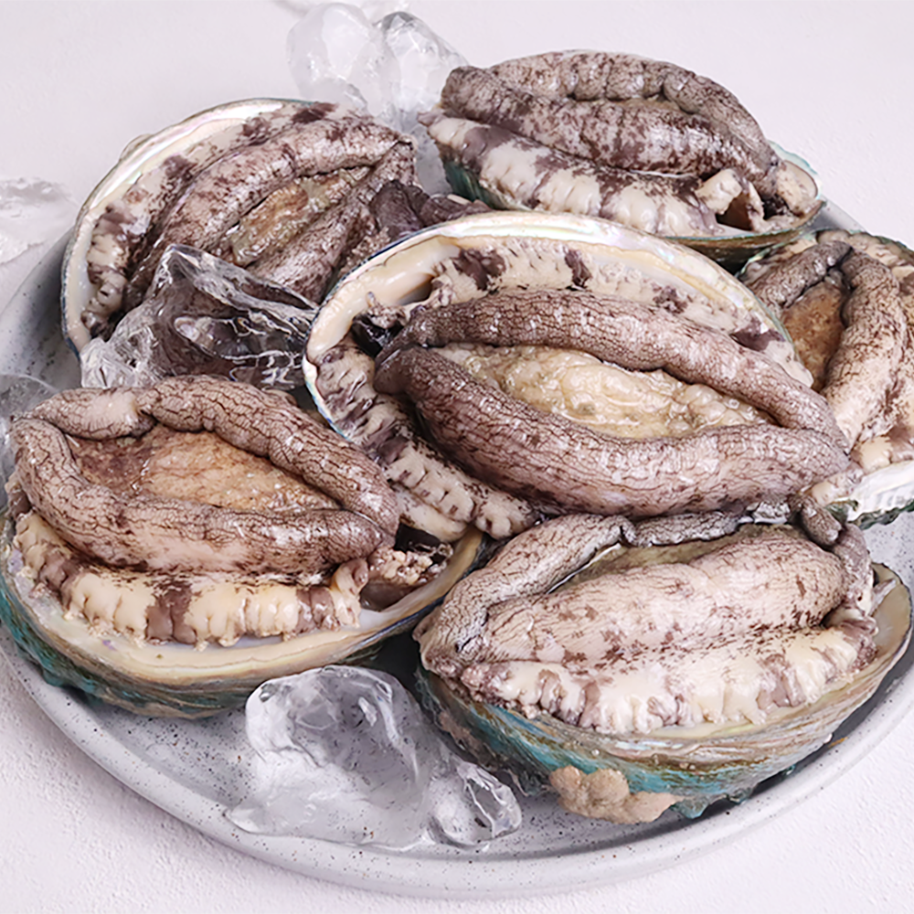 신선특허 내일받는 기삼전복 1kg 3미부터 40미 산지직송 손질도구 선물세트
