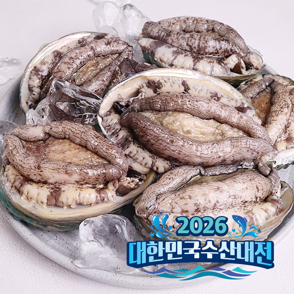 신선특허 내일받는 기삼전복 500g 2미부터 20미 일반포장