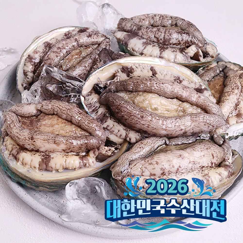 기삼전복 1kg 3미부터 40미 산지직송 손질도구 선물세트 가격 추이 기삼전복 기삼전복 1kg 3미부터 40미 산지직송 손질도구 선물세트 - 최저가 15,200원