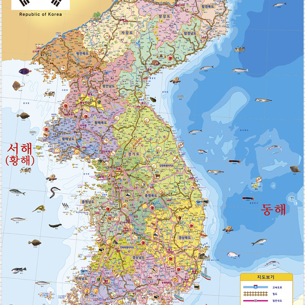 양면활용벽보포스터세계지도 벽면교육어린이교육대한민국지도 학습용어린이집지리벽보 - 상세 이미지 2