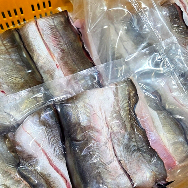 하모회(갯장어) 1kg 손질 샤브샤브 세트 당일작업 이미지 7