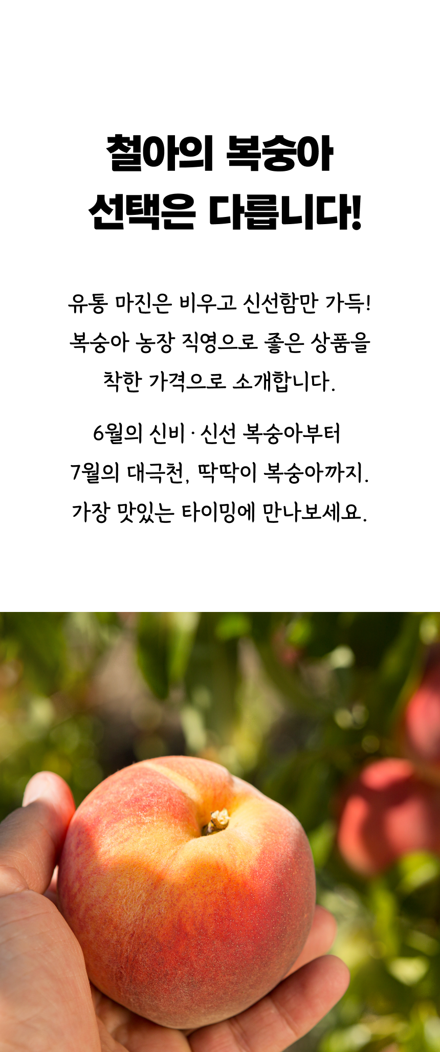 상세 3